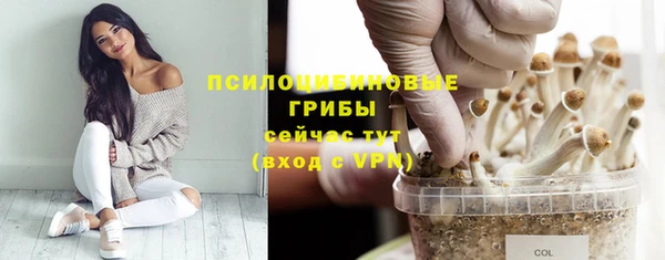 кокс Алексин