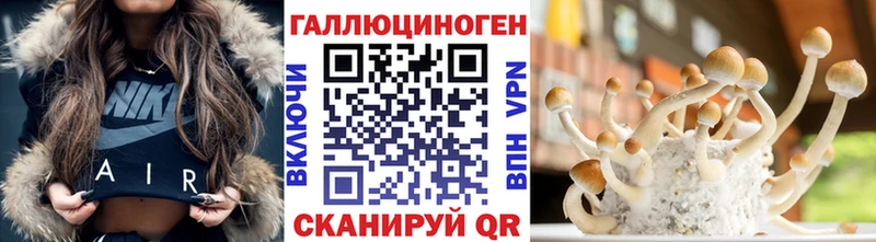 продажа наркотиков  Порхов  Галлюциногенные грибы прущие грибы 