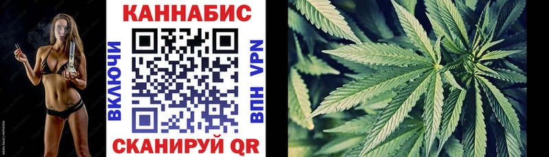 Шишки марихуана план  Порхов 